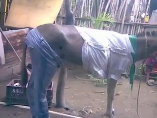 Başka ülkede yaşayamam :)