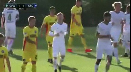 Thomas Delaney Goal HD - Karlsruher SC 1-1 Werder Bremen 09.01.2017