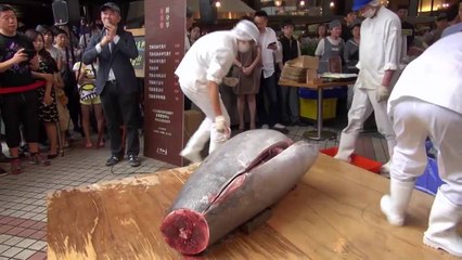 Cutting and Cleaning Huge Tuna | Tuna dismantling Show