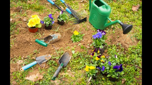 M L Landscaping Inc. (781) 760-2323