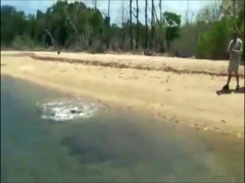 Un crocodile vient piquer le requin attrapé par ces pecheurs...