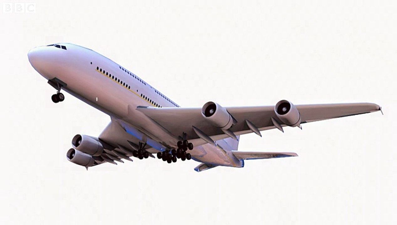 snake on a plane