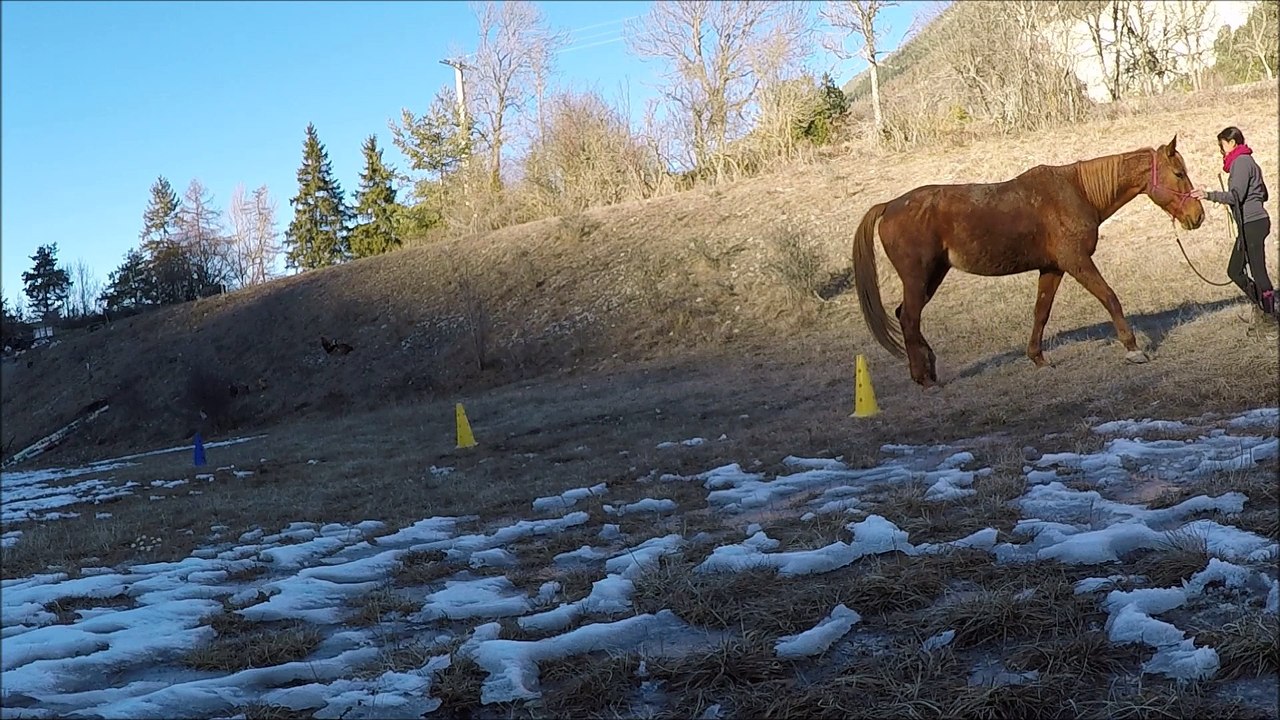 opaline slalom reculer porcepic