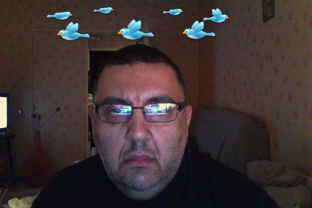 DES OISEAUX PLEIN LA TETE !