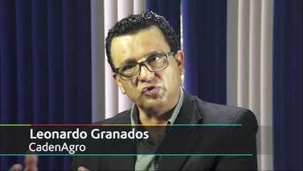 Punto y Aparte Clip0003