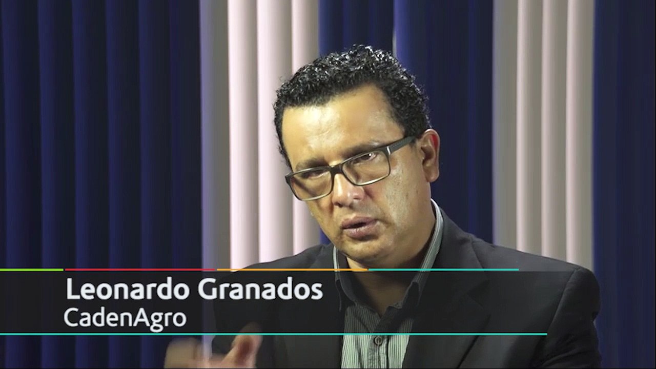 Punto y Aparte Clip0004