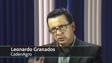 Punto y Aparte Clip0004