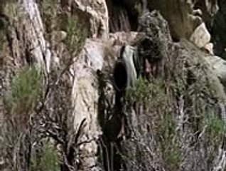 The Wall (Theatrical Trailer)