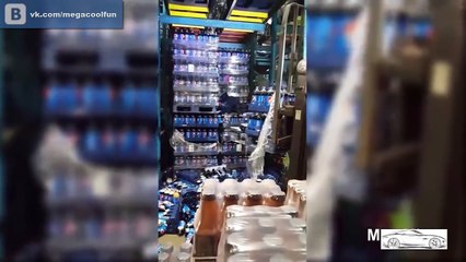 Олени на погрузчиках. Полный Абзац!