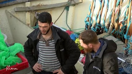 Les quotas de pêche 2017 sont fixés : Les réactions (Vendée)