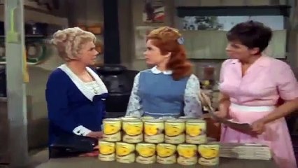 34. Petticoat Junction S03E34
