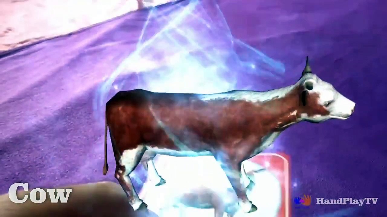 Farm ANIMALS Name and Sound   AMAZING Animals On The Farm   Handplaytv Kids Learning Video Part 24