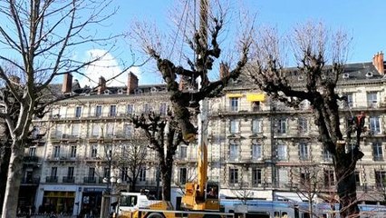 Arbres coupés place Victor-Hugo.mp4