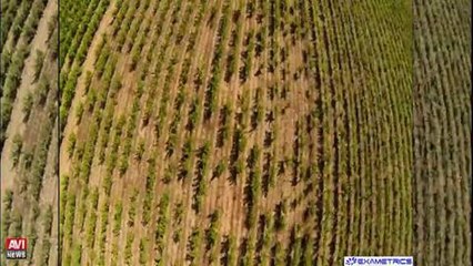 Avignon / Des drones bientot au service des...