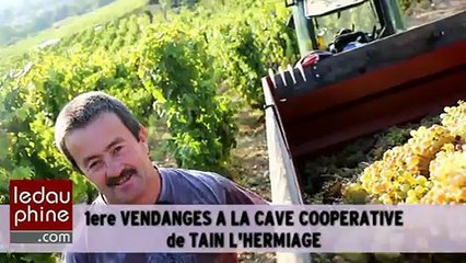 Vendanges : un millesime 2014 prometteur a...