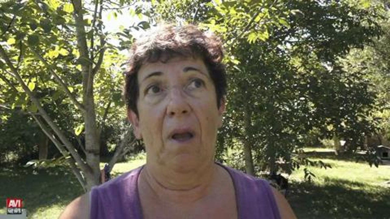 600 animaux a la SPA : adoptez-les ...