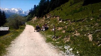 La Symphonie pastorale au coeur du Parc de la...