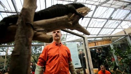 La Ferme aux crocodiles accueille deux des plus gros lezards du...