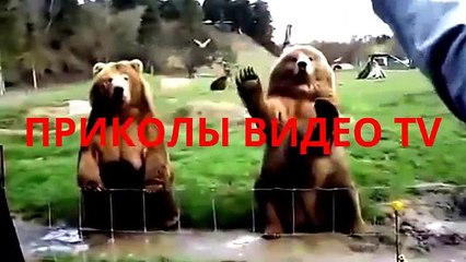 Приколы.Живой автомобильный стартер