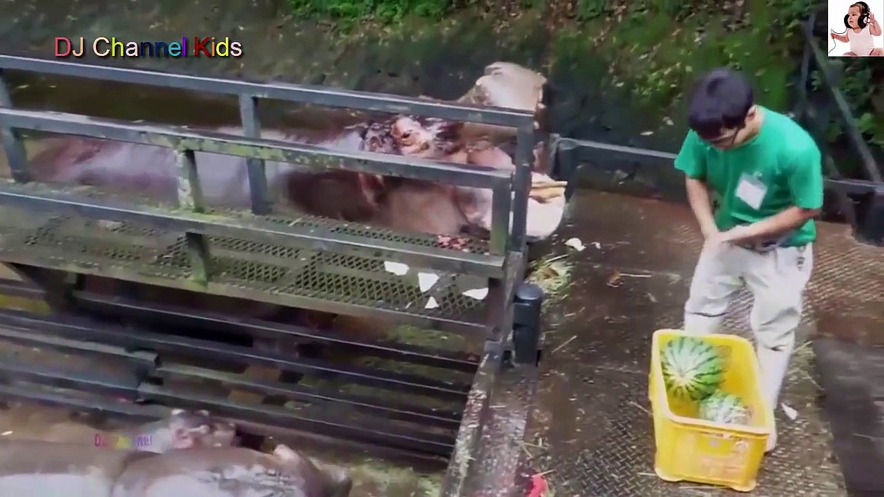 Bé Học Tiếng Anh -Nhạc Thiếu Nhi Chọn Lọc - ABC Song