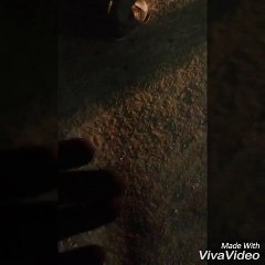 Youssou Ndour a amené le défunt Ablaye Mbaye à l'hôpital