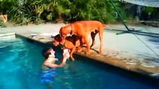 Dog Freaks Out When Owner Dives Underwater