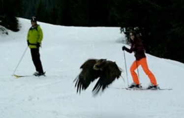 Skiez avec les aigles du Leman a Morzine.....