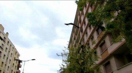 Aix-les-Bains : trois buses d'Harris dans le ciel ce lundi...