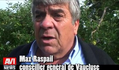 "Si ça continue, on va droit vers le dépôt de bilan"