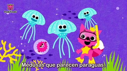 Bajo el Mar _ Animales _ PINKFONG Canciones Infantiles-E3CMnKutzzg