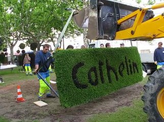 Des sculptures végétales aux couleurs de Cathelin