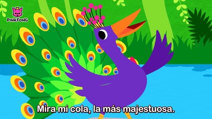 ¿Te Casas Conmigo _ Animales _ PINKFONG Canciones Infantiles-EGnQgcnbJS0