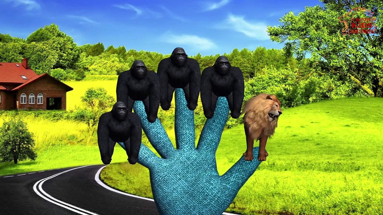 Owl Finger Family | 3D Animation | English Nursery Rhymes | Animals Finger Family