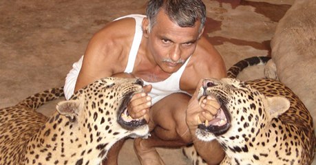 15 Dil Dahla Dene Wali Picture Jab Animals Ne Kiya Hai Insan Par Hamla