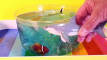 DIY SHARK Toys Slime Aquarium Fish Tank - Toy Sharks, Sea Animals, To
