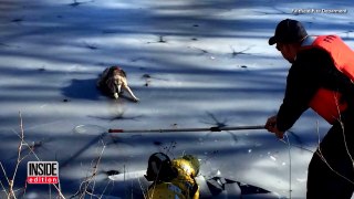 Elderly Dog Rescued By Firefighters After Falling Through Ice On Frozen Pond-hyDnDF2nCyk