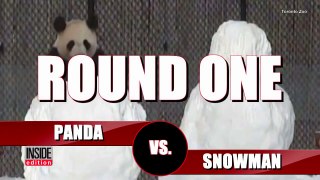 Face-Planting Panda Won't Give Up In Battle Against Snowman-kDYrdsXoLCc