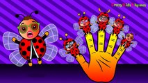 Finger Family Rhymes | Bugs Finger Family Song | Daddy Finger Nursery Rhymes