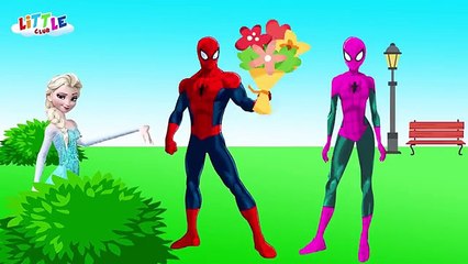 Spiderman vs Elsa Funny Pranks Collection 9 - Spiderman Loves Pink Spidergirl