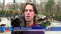 Man Who Lives With 300 Rescued Cats Turns Home Into Loving Sanctuary-6x8lpWnipeE