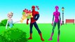 Spiderman vs Elsa Funny Pranks Collection 11 - Hulk and Elsa Pranks to Spiderman at Gym