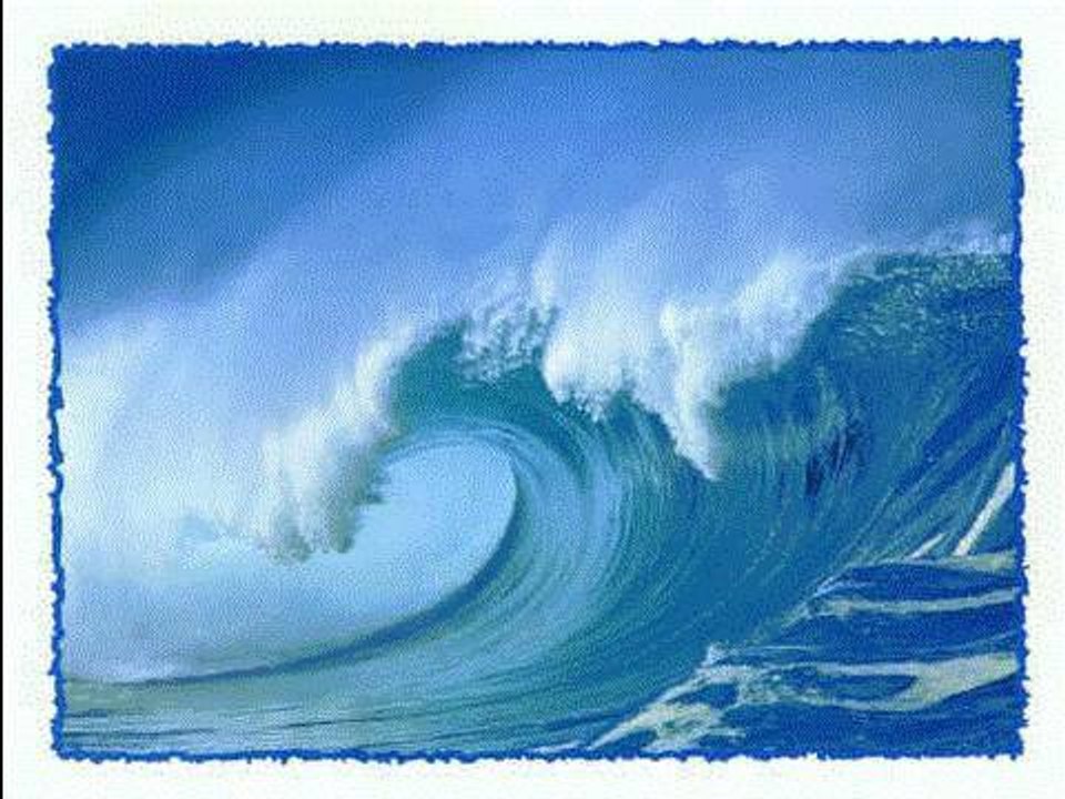 What is Google Wave?