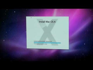 Snow Leopard Installation