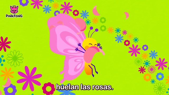 Vuelen Vuelen Mariposas _ Bichos _ Pinkfong Canciones Infantiles-5xo_bBAuBFQ