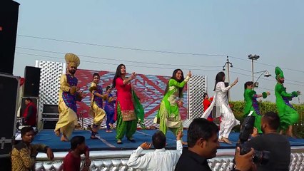 Lavi no. 1 musical group 9815475374