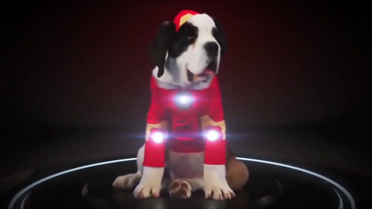 Marvel's Doctor Strange - The Dogs Avengers - Funny Animal Dressup-q0XFL5SRooI