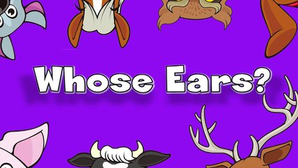 Whose Ears _ Learn Animals Song for Kids-HWr4NE87qSg