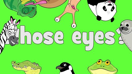 Whose Eyes _ Learn Animals Song for Kids-uuuv0Lc3cXk