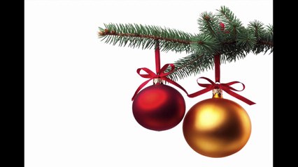 006 Mindfulness Exercise Dealing with Social Bullies