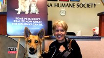 Kind Couple Adopts Blind Dog Who Was The Last Animal Left At Shelter-BRsRLK0h8Ok
